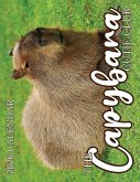 The Capybara Cutie Club 2026 Calendar The Capybara Cutie Club 2026 Calendar