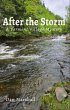 After the Storm (eBook, ePUB) - Bild 1