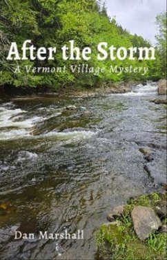 Cover After the Storm (eBook, ePUB)