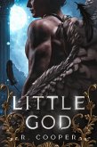 Little God (eBook, ePUB)