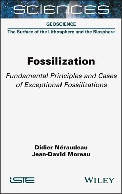 Cover Fossilization (eBook, PDF)
