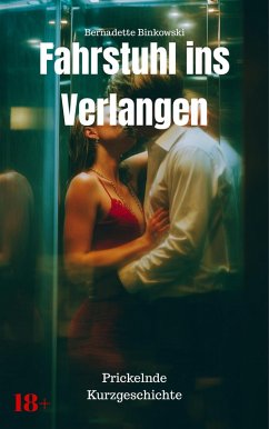 Cover Fahrstuhl ins Verlangen (eBook, ePUB)