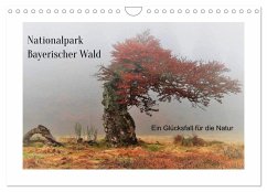 Cover Ein Glücksfall für die Natur- Nationalpark Bayerischer Wald (Wandkalender 2026 DIN A4 quer), CALVENDO Monatskalender