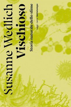 Vischioso (eBook, ePUB) Cover Vischioso (eBook, ePUB)