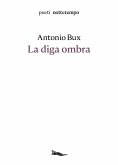 La diga ombra (eBook, ePUB)