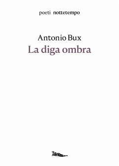 Cover La diga ombra (eBook, ePUB)