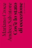 Che cos'è lo stato di eccezione (eBook, ePUB)