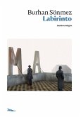 Labirinto (eBook, ePUB)