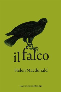 Cover Il falco (eBook, ePUB)