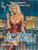 Las Vegas Trans Escort: What Happens There... Stretches You (eBook, ePUB)