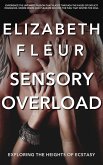 Sensory Overload (eBook, ePUB)