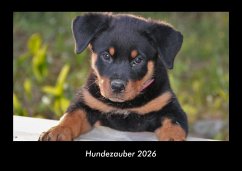 Cover Hundezauber 2026 Fotokalender DIN A3