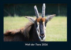 Cover Welt der Tiere 2026 Fotokalender DIN A4