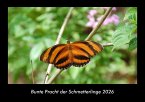 Bunte Pracht der Schmetterlinge 2026 Fotokalender DIN A3