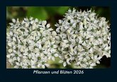 Pflanzen und Blüten 2026 Fotokalender DIN A5
