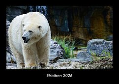 Cover Eisbären 2026 Fotokalender DIN A3
