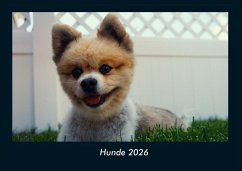 Cover Hunde 2026 Fotokalender DIN A4