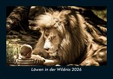 Löwen in der Wildnis 2026 Fotokalender DIN A5