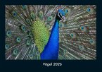 Vögel 2026 Fotokalender DIN A4