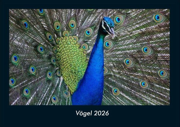Vögel 2026 Fotokalender DIN A4