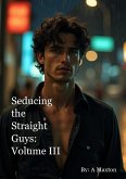 Seducing the Straight Guys: Volume 3 (eBook, ePUB)