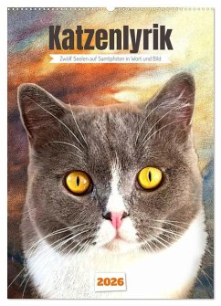 Katzenlyrik - Zwölf Seelen auf Samtpfoten in Wort und Bild (Wandkalender 2026 DIN A2 hoch), CALVENDO Monatskalender