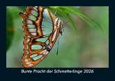 Bunte Pracht der Schmetterlinge 2026 Fotokalender DIN A5 Bunte Pracht der Schmetterlinge 2026 Fotokalender DIN A5