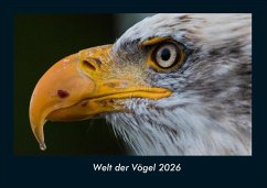 Cover Welt der Vögel 2026 Fotokalender DIN A4