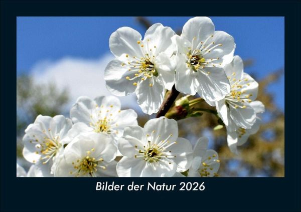 Bilder der Natur 2026 Fotokalender DIN A5 Bilder der Natur 2026 Fotokalender DIN A5