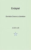 Endspiel (eBook, ePUB)