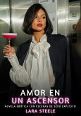 Amor en un ascensor (eBook, ePUB) Amor en un ascensor (eBook, ePUB)