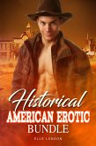 Historical American Erotic Bundle (eBook, ePUB)