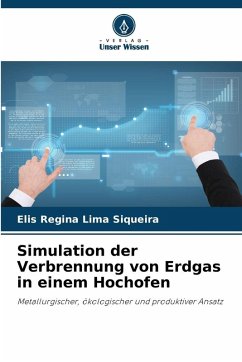 Cover Simulation der Verbrennung von Erdgas in einem Hochofen