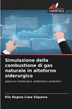 Cover Simulazione della combustione di gas naturale in altoforno siderurgico