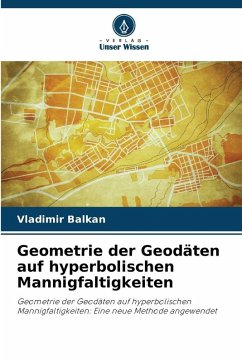 Cover Geometrie der Geodäten auf hyperbolischen Mannigfaltigkeiten