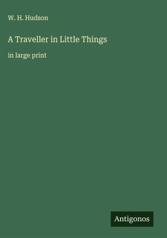 Cover A Traveller in Little Things