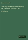 The Pony Rider Boys in New Mexico; Or, The End of the Silver Trail
