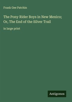 The Pony Rider Boys in New Mexico; Or, The End of the Silver Trail - Patchin, Frank Gee