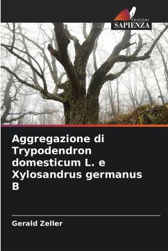 Aggregazione di Trypodendron domesticum L. e Xylosandrus germanus B - Zeller, Gerald Aggregazione di Trypodendron domesticum L. e Xylosandrus germanus B - Zeller, Gerald