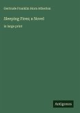 Sleeping Fires; a Novel Sleeping Fires; a Novel