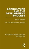 Agriculture and the Development Process