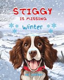 Stiggy is Missing - Winter Stiggy is Missing - Winter