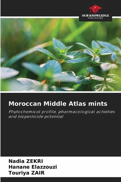 Moroccan Middle Atlas mints Moroccan Middle Atlas mints