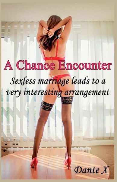 A Chance Encounter A Chance Encounter