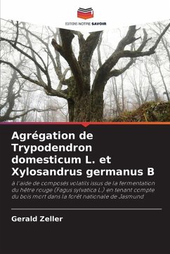 Agrégation de Trypodendron domesticum L. et Xylosandrus germanus B - Zeller, Gerald Agrégation de Trypodendron domesticum L. et Xylosandrus germanus B - Zeller, Gerald