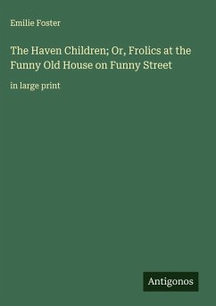 Cover The Haven Children; Or, Frolics at the Funny Old House on Funny Street