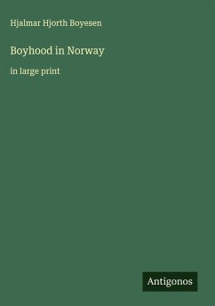Cover Boyhood in Norway