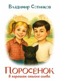 Porosyonok v khoroshem smysle slova