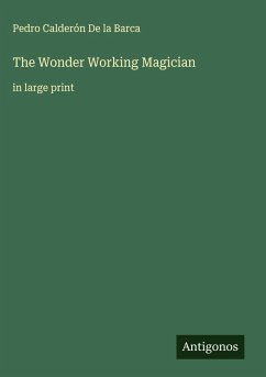 Cover The Wonder Working Magician