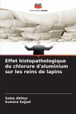 Effet histopathologique du chlorure d'aluminium sur les reins de lapins